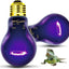 NIGHT HEAT LAMP