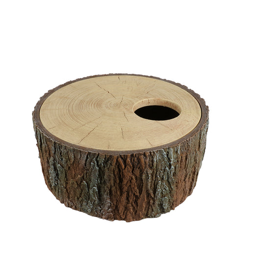 REPTILE NESTING CAVE TREE BROWN