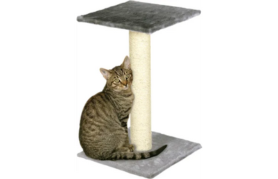 SCRATCH POLE SCOLETTE GREY