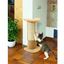 CAT SCRATCH POLE B. LINE SANTO