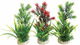 AQUAPLANT MEDIUM