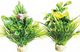 BLOOMING FLOWER