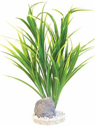 YUCCA VIVARIUM