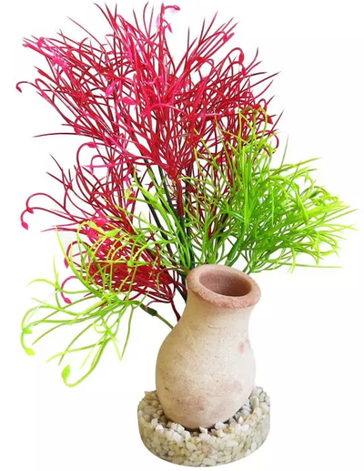 ΒΑΖΟ EXOTIC GRASS