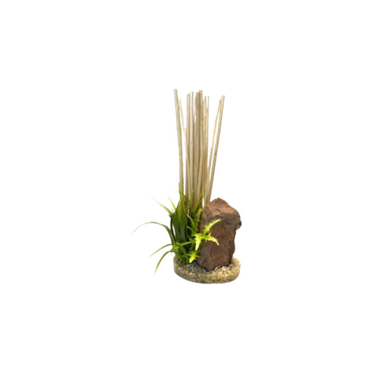 AQUA BRANCH HEDGE PLANT