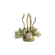 AQUA BRANCH CORAL REEF