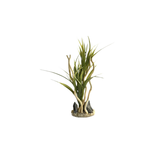 AQUA BRANCH GIANT PLANT