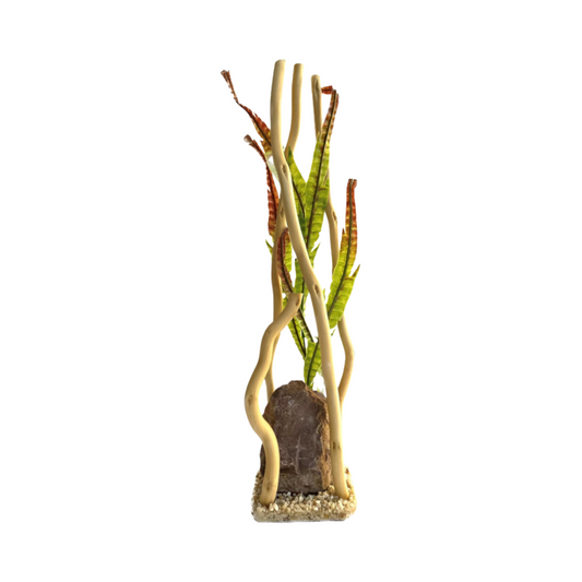 AQUA BRANCH GIANT GRASS