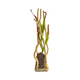 AQUA BRANCH GIANT GRASS