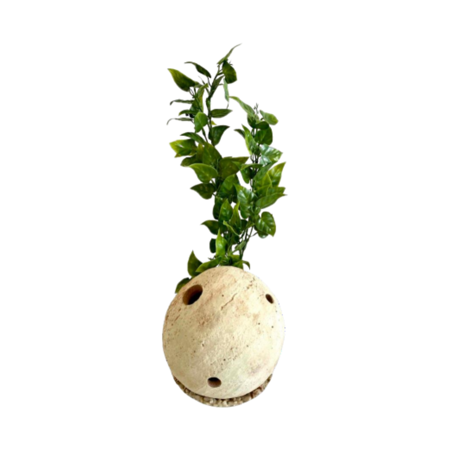 DÉCOR SHRIMP BALL H12cm