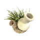 DÉCOR SHRIMP DUO JAR H14cm