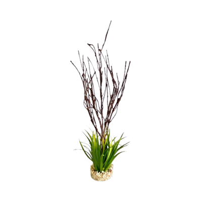 TERRA BRANCH PLANT H39cm