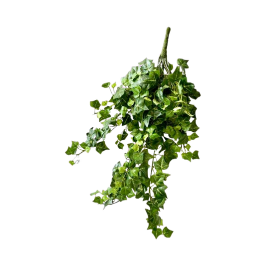 TERRA HANGING IVY H54cm