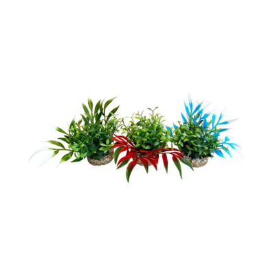 MAGIC NANO GARDEN H10cm