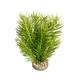 JAPANESE TREE 18cm