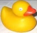 DOG TOY DUCK