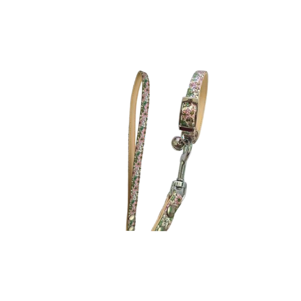 CAT COLLAR & LEAD SET