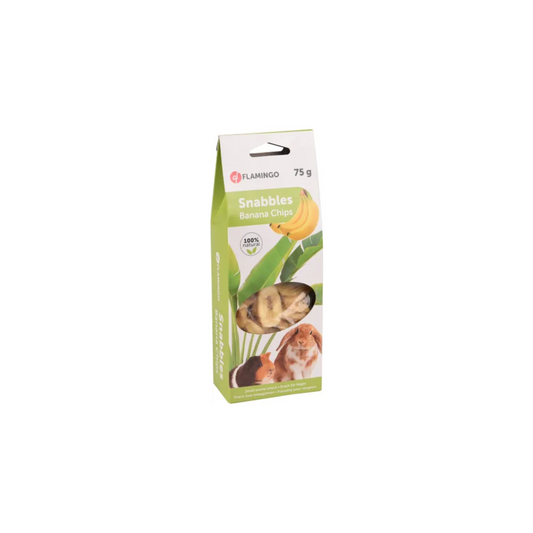 SNACKS CHIPS WITH BANANA FLAVOUR 75G