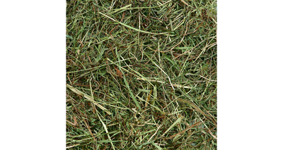 ΣΑΝΟΣ ΒΟΥΝΟΥ ΜΕ ΜΕΝΤΑ 500ΓΡ