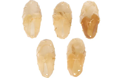 SNACKS R’HIDE SHOE 12cm 16g /5pcs