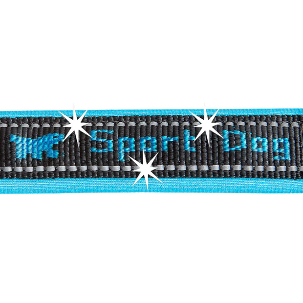 SPORT DOG COLLAR BLUE