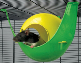 SPUTNIK XL