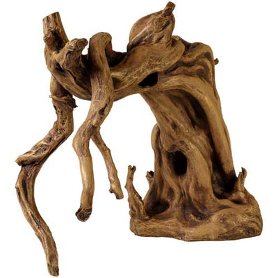 SCAPING ROOT 1