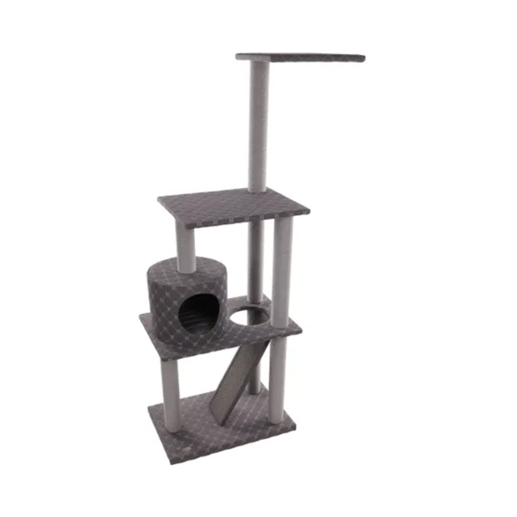 SCRATCHING TREE ALEXANDRA