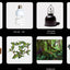 TROPICAL TERRARIUM SKT30
