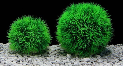 HAILEA PLASTIC PLANT BALL