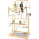 WOODEN PARAKEET LUNAPARK