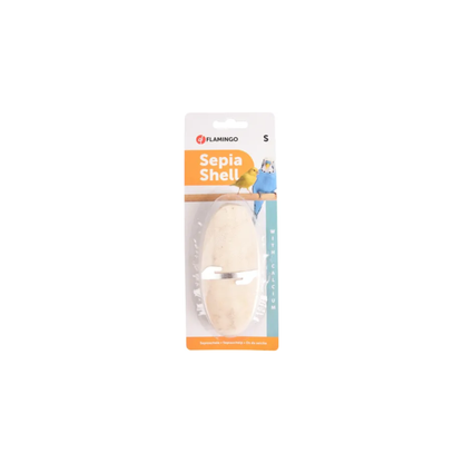 CUTTLEFISH BONE x 2PCS