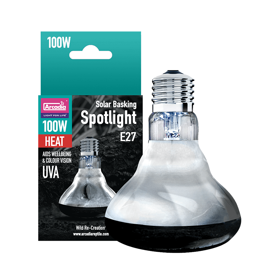 ΑΡΚΑΔΙΑ SOLAR BASKING SPOTLIGHT