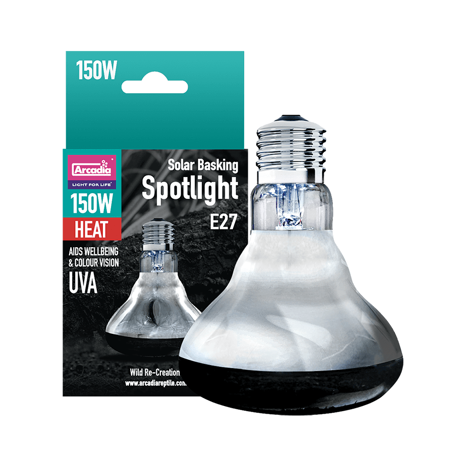 ΑΡΚΑΔΙΑ SOLAR BASKING SPOTLIGHT