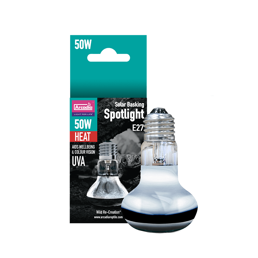 ΑΡΚΑΔΙΑ SOLAR BASKING SPOTLIGHT