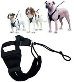 NON-PULL HARNESS