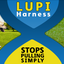 LUPI HARNESS