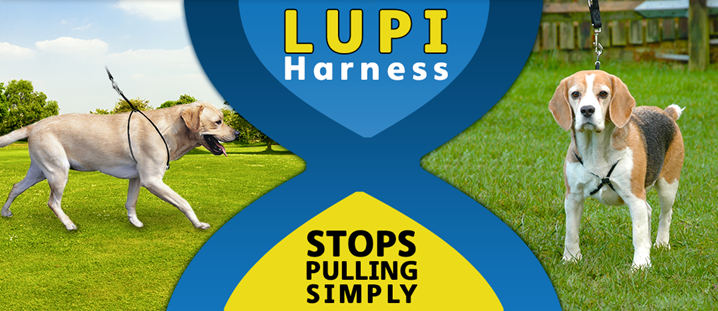 Lupi online harness small