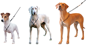 Lupi online harness small