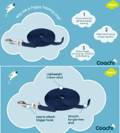 COACHI PUPPY TRAINING LINE NAVY 2.5M