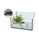 TERRARIUM ΓΙΑ ΧΕΛΩΝΑ