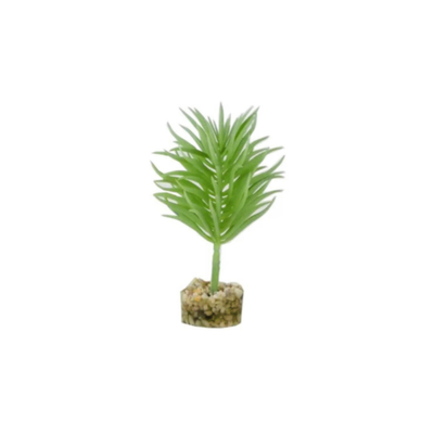 TERRA SUCCULENT PLANT H13cm