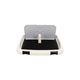 TRAY TOILET WITH POLE & WALL FOR MALE DOGS
