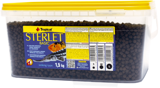STERLET BASIC MEDIUM