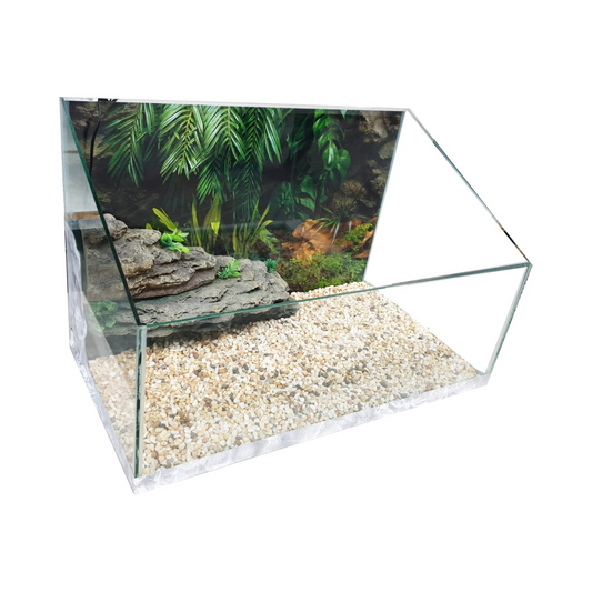 TURTLE GLASS AQUARIUM