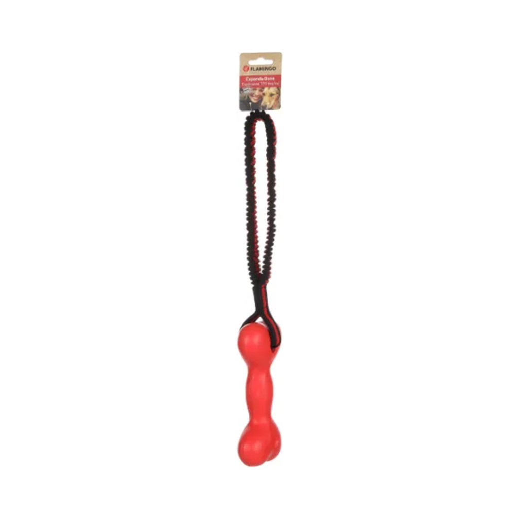 DOG TOY STREKTA + BUNGEE