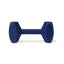 COACHI TRAINING DUMBBELL