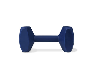 COACHI TRAINING DUMBBELL
