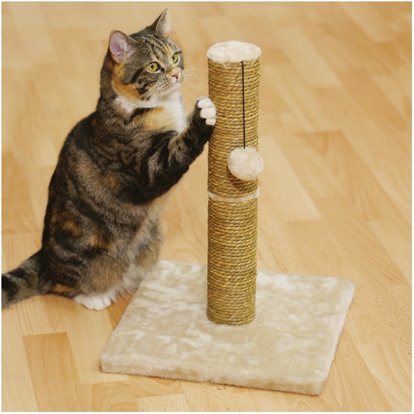 TURIN CAT SCRATCH