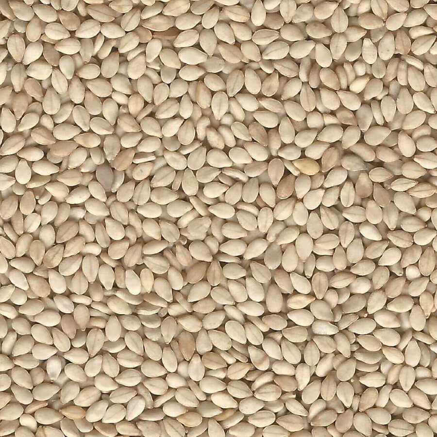 PUMPKIN SEED 25KG